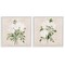 Stupell Industries White On Tan Botanicals 2pc Framed Giclee Set, design by Lucille Price